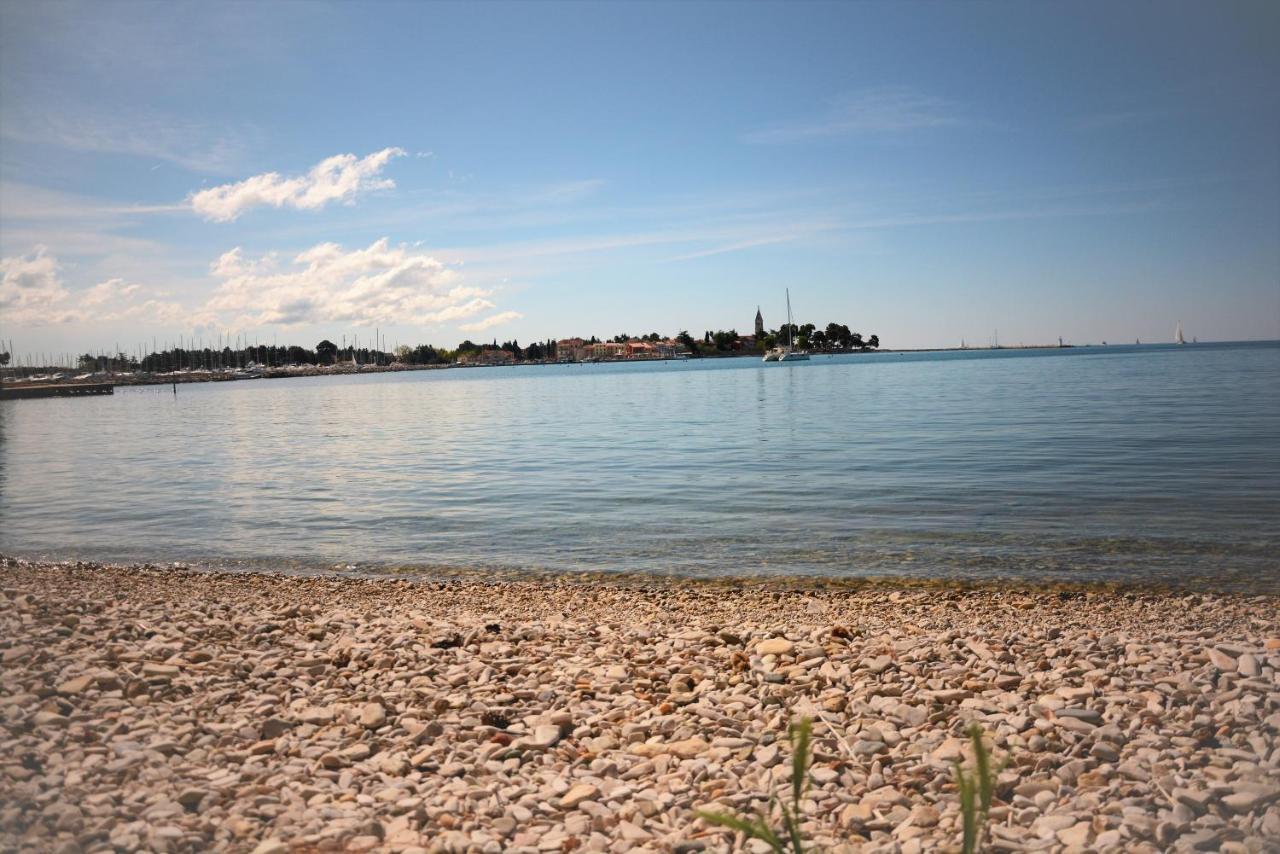 Villa Vienna Novigrad  Екстер'єр фото