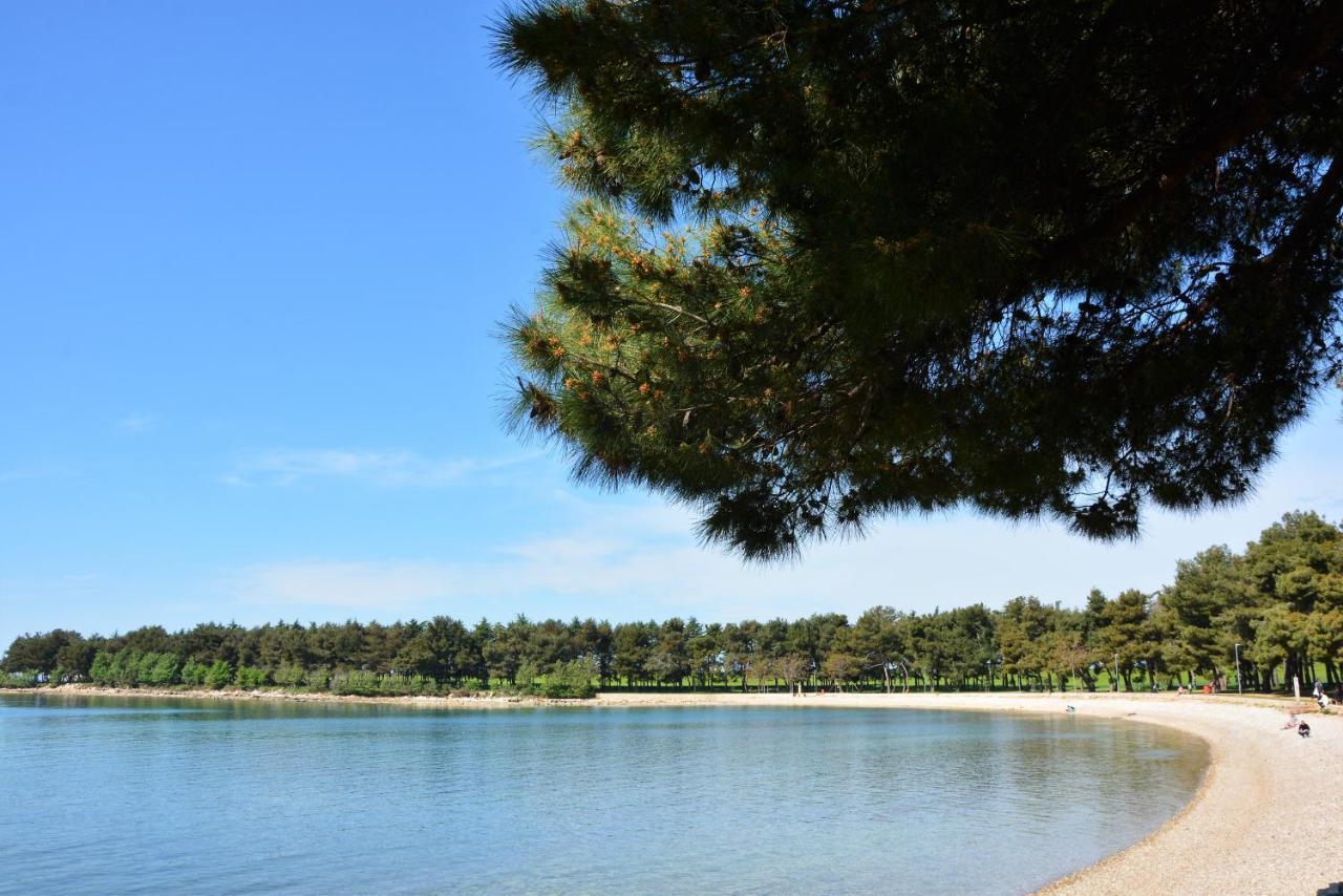 Villa Vienna Novigrad  Екстер'єр фото