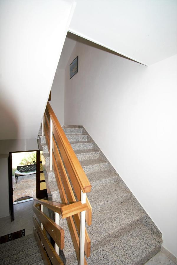 Villa Vienna Novigrad  Екстер'єр фото