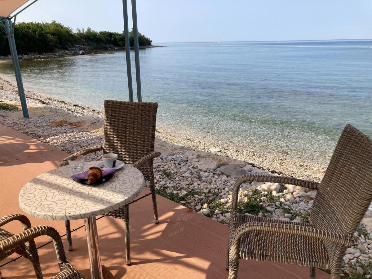 Villa Vienna Novigrad  Екстер'єр фото